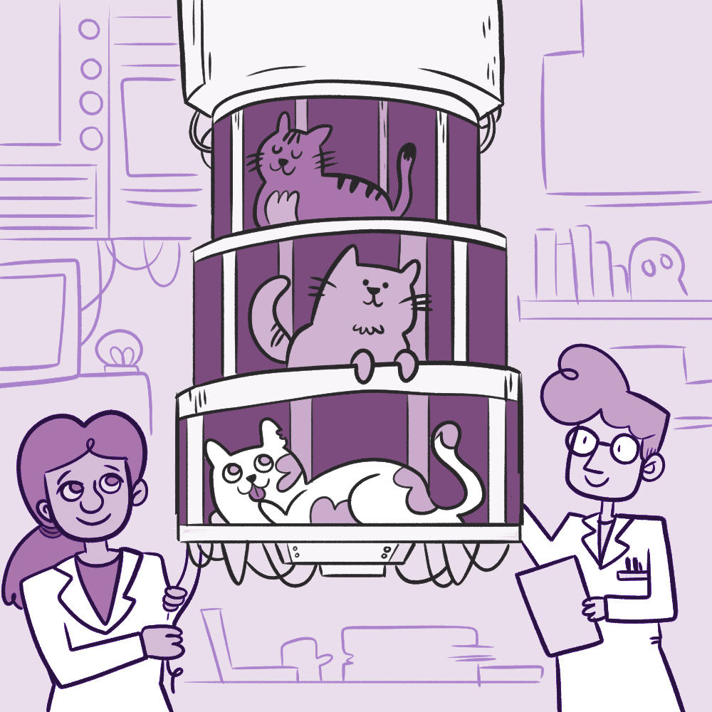 שלושה חתולים יושבים על מה שנראה דומה למחשב קוונטי אמיתי